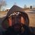 Thomas Brewer's profile image