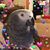 Jill Wilson Franklin's profile image