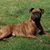 Robin VanSpronsen Baldwin's profile image