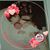 Pamala Lynn Powell Neel's profile image