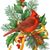 Marcella Parker Drummond's profile image
