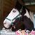 Sheila Wright Johns's profile image