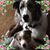 Jodi Knott-Guinto's profile image