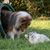 Judy Bienvenu's profile image