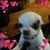 Sherry Mendenhall's profile image