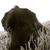 Lisa Mella McGilvary's profile image