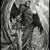 Joe Manske's profile image