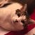 Kasey Gagle's profile image
