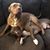 Adrienne Driscoll's profile image