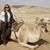 Susan Stotes's profile image
