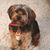 Brenda Platt Spain's profile image