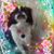 Lisa Fronrath's profile image