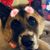 Karina Bracamonte's profile image