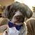 Joey Buchan's profile image