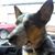 Gayle Berreth's profile image