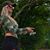 Lisa Nicole's profile image