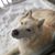 Ken Hamann's profile image