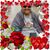 Rose Cerna Garcia's profile image