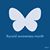 Sandy Hansen's profile image