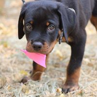 Beckie Bowers's profile image