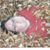 Katherine Loosle's profile image