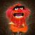 Jim Gorton's profile image