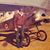 Joy Stehl Gietzel's profile image