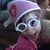 Amber Lazowski's profile image