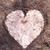Sherri Helmer's profile image