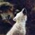 Andrea Erickson Norsworthy's profile image