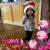 Diane Marshall Phillips's profile image