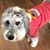 Sue Brugman's profile image