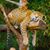 Tonya Kimrey's profile image