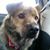 Nora Lawson Shaner's profile image