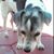 Marisol Barrientos's profile image
