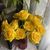 Liliana Valverde de Lopez's profile image