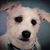 Linda Johnston's profile image