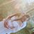 Jen Courtney's profile image