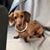 Jerry Gosset's profile image