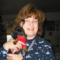 Lou Lively-Singh's profile image