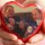 Deborah Collis's profile image