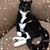 Louisa Larson Connolly's profile image