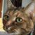 Tammy Bixler's profile image