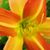 Vicki Young's profile image