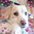 Linda Smith's profile image