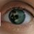 Sue Tutko's profile image