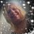 Cyndi Fuller's profile image