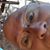 George Toft's profile image