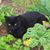 Sue Paradis Andreski's profile image