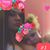 Sara DeVito-Campbell's profile image